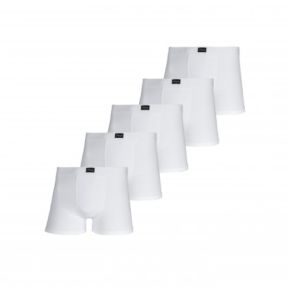 Kit Com 5 Cuecas De Microfibra Branco